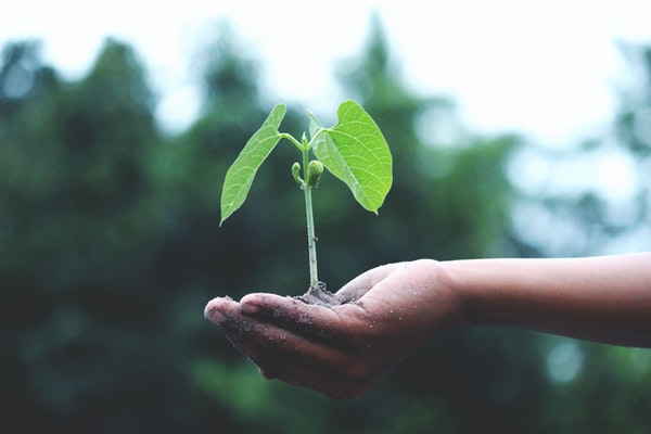 INTX - minimising the effects that we all are having on the environment INTX - minimising the effects that we all are having on the environment